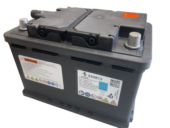 Ferrari Lithium Battery Repair