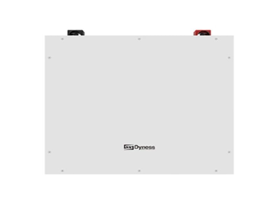 DynessLithium Battery | Repair Service