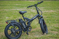 Alice 500W MTB 05Z - Image 3